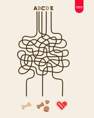 Cesta k MERA dobrotám je jen jedna. Najdete ji? Všechny MERA dobroty pro malé i velké 🐶🐱 MÁME! A najdete je na odkaze v...