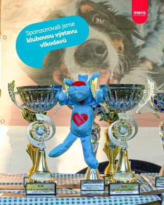 🐾🏆 Klubové výstavy se s námi táhnou už od dob chovu německých ovčáků, konec konců, brzy se chystáme vám říct trochu víc o...