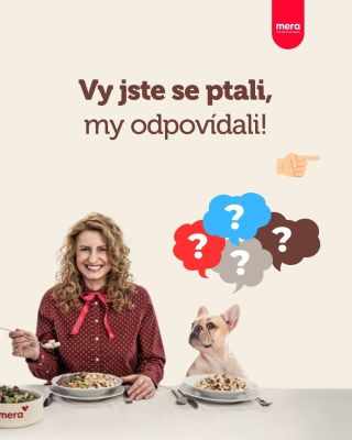 🐕🗨️ Otázky, které by možná i vás mohly zajímat. A pokud chcete vědět více, přečtěte si náš článek na webu meradog. Odkaz...