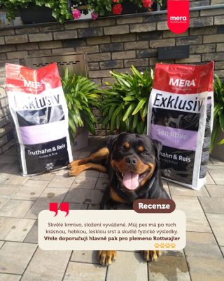 Další krásná recenze našich krmiv, za kterou jsme moc vděční. Děkujeme i za vaše fotky, které s námi sdílíte. Je to...