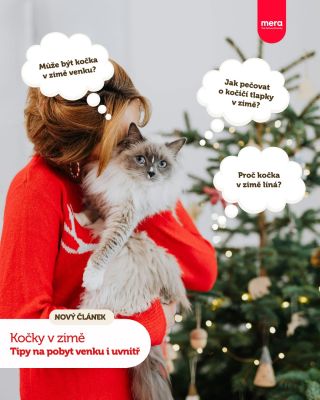 🐈🥶 Zima rozhodně nepatří mezi vítané období kočiček. To možná všichni majitelé potvrdí. 😆 My jsme se tématu koček v zimě...