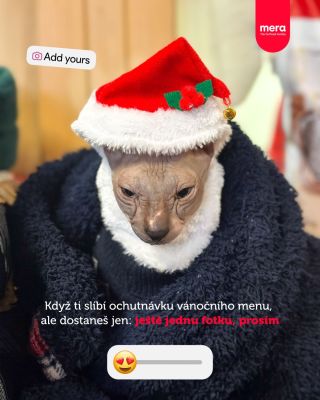 😁😊 Tuhle fotku z natáčení jsme si nemohli nechat pro sebe! 🤣 Kočičí car - pan Hagrid, vás zdraví a vzkazuje, že pózovat už...